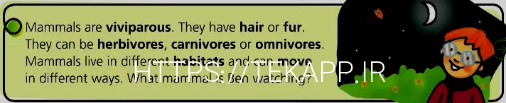 What do animals eat